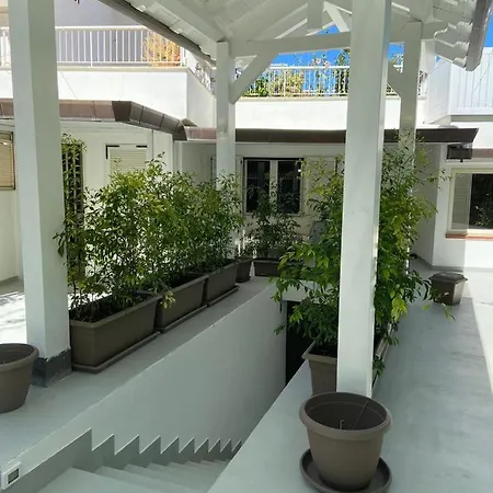 Danae Apartament *